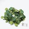 32 ft Green LED Eucalyptus Leaves Garland Battery Operated Wedding Fairy Lights